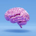 Sleeping more flushes junk out of the brain